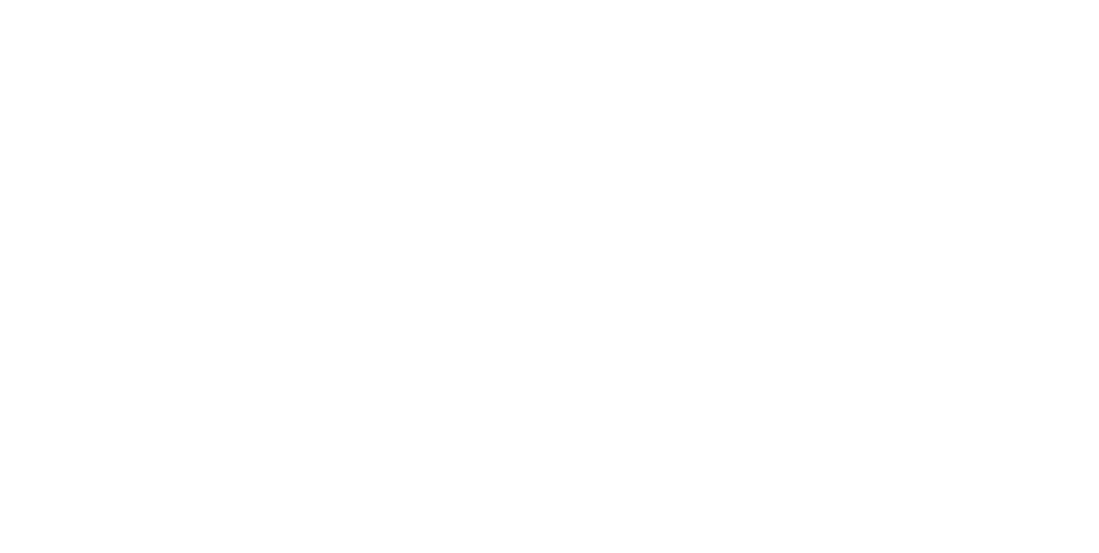 Vera Ortiz Group